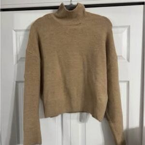 Cozy Tan Turtleneck Sweater